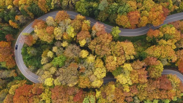 A car is drving behind a biker in a tight curve, filmed straight from above at a wonderful autumn day.