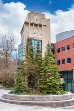 Building labeled Library with Pine trees in a planter box