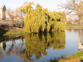 autumn time
foliage
  river reflection