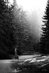 Family walk in the forest.  