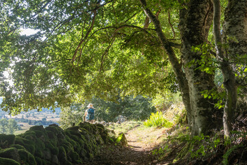 randonneur assis sur un muret dans un sous bois