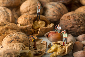 Les figurines cassent les noix et noisettes