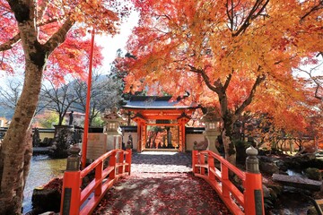 奈良県　天川村龍泉寺の紅葉
