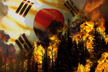 Forest fire natural disaster concept - burning fire in the trees on Republic of Korea (South Korea) flag background - 3D illustration of nature