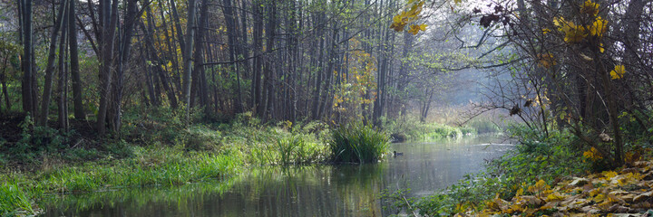 Landscape with a river and trees on an autumn day.