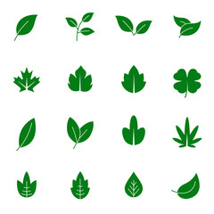 green leaf icons vector set of signs for infographic, logo, app development and website design. Premium symbols isolated on a white background. Eps10