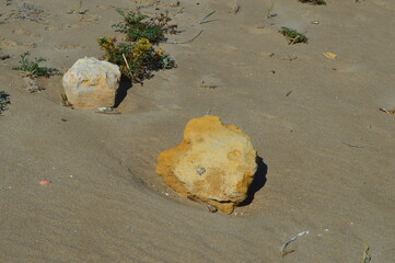 Roca de playa en arena