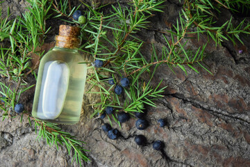 Fototapeta premium Juniperus aroma oli aromatherapy bio organic
