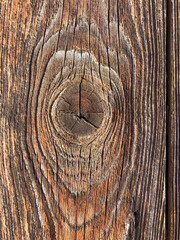 Holzstruktur, Textur - Hintergrund