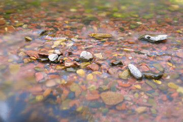 River in the Pyrenees