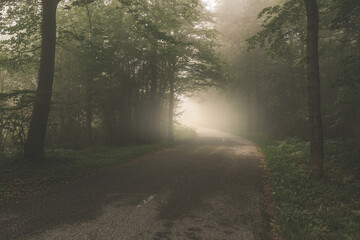 Obraz premium Dia de niebla en el Far