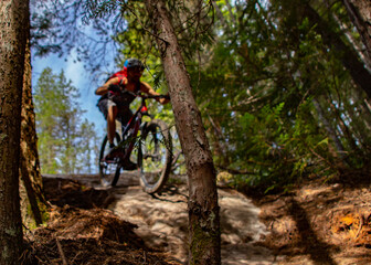 Plakat Mountain Biker riding down steep rock, abstract image with biker blurred in background and foreground in focus