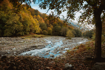 Mountain river on a sunny morning. Beautiful nature in the mountains.