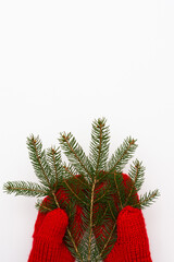Hand in a knitted red mitten holds a spruce branch isolated on white background