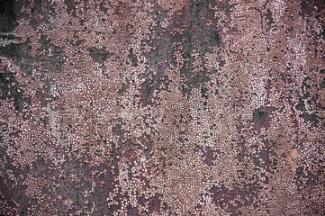 cracked paint on the wall. creative brown background. old bronze surface