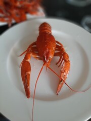 lobster on a plate