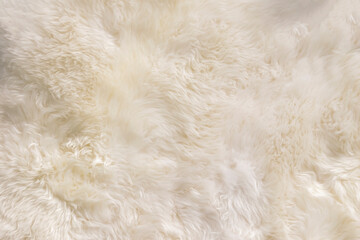 White, Beige wool texture background. Natural fluffy fur sheep wool skin texture. Apart of luxury...