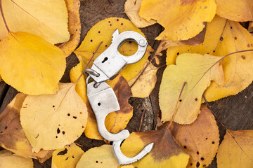 iron handcuffs lie in yellow autumn leaves on a board in the afternoon outdoors close up