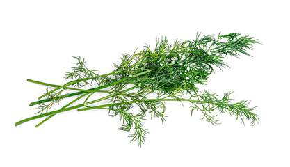 Greenery. Sprigs of dill on a white background. Macro photo. High quality photo