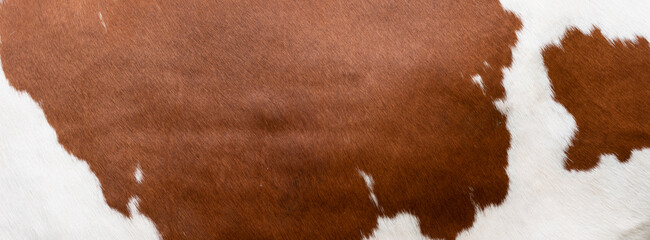 part of red or brown cowhide in closeup