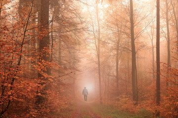 Mystisch goldener Nebelwald, Mann geht auf ein Licht zu