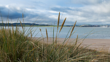 Eden Estury from West Sands, St Andrews, Fife, Scotland