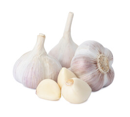 Fresh organic garlic bulbs and cloves on white background