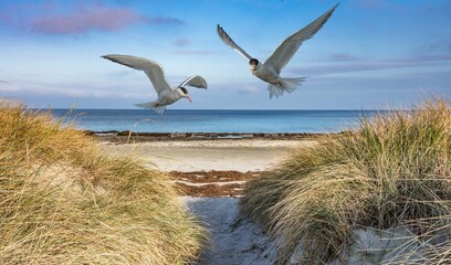 Ostsee 