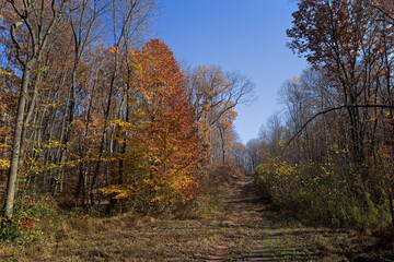 Fototapeta premium Horse-Shoe Trail on an autumn day. It is a 140 mile multi use trail which originates in Valley Forge National Park and Terminates in the Appalachian Trail National Park just north of Harrisburg, PA. 