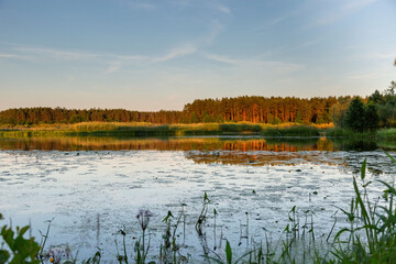 landscape with lake