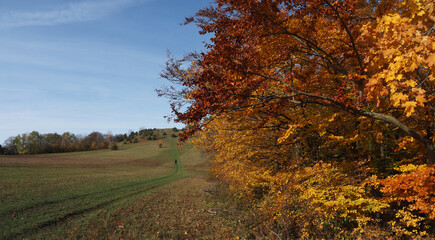 Naklejka premium Herbstfärbung auf der Schwäbischen Alb