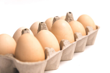 Chicken egg in carton box on white background