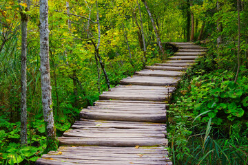 Obraz premium Summer landscape in Plitvice National Park, Croatia, Europe