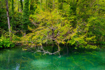 Summer landscape in Plitvice National Park, Croatia, Europe