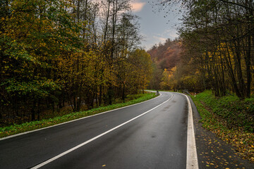 Naklejka premium asphalt road in nature, orange autumn forest
