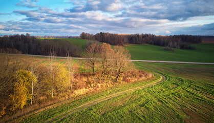 Fototapeta na wymiar Beautiful green field. Winter cereal and blue, cloudy autumn sky.