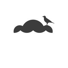 Bird sitting on stone