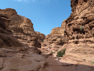 Fototapeta premium Wadi Musa gorge