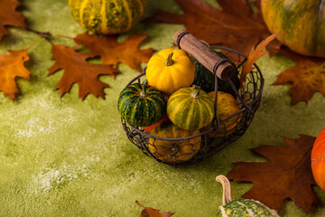 Naklejka na ściany i meble Various decorative pumpkins. Autumn concept
