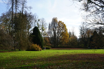 Fototapeta premium Im Park, englischer Garten