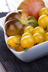 Studio shot of tomatos in dish