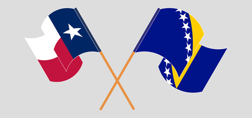 Crossed and waving flags of Bosnia and Herzegovina and the State of Texas