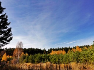 Fototapeta premium autumn in the mountains