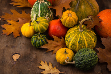 Various decorative pumpkins. Autumn concept