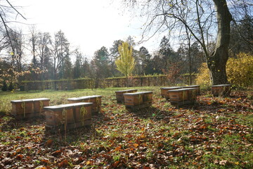 Fototapeta na wymiar Bienenstöcke im Park