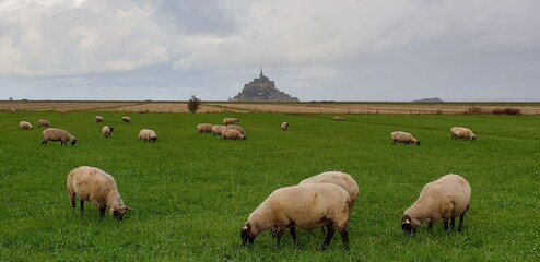 Obraz premium Paysage