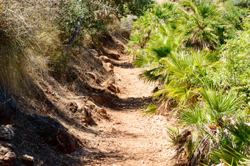 Coastal hiking trail in the Zingaro natural reserve in Sicily Italy. 