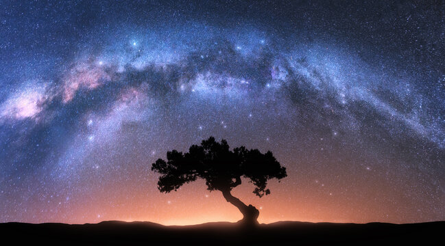 Alone tree and Milky Way arch at night. Landscape with old tree, bright arched milky way, sky with stars, hills at sunrise. Beautiful universe. Space background with starry sky. Galaxy and nature