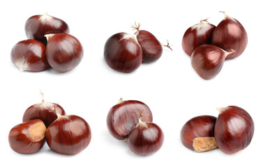 Set of sweet edible chestnuts on white background