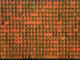 Roof tiles bitmap texture (for exterior designers)